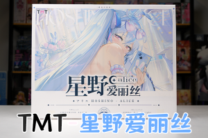 【机长测评】TMT-星野爱丽丝2，二次元“杀牛盘”式拼装臀